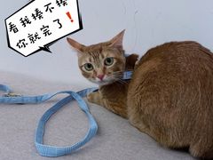-素咫咖啡CLIFEROSE(新安店)