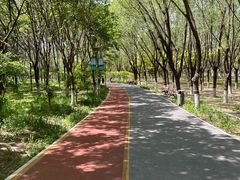 -大兴滨河森林公园