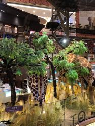 -卡通尼·Safari非洲探索乐园·生日会(金桥国际商业广场店)