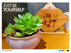 -湘与香缘·湖南菜(王府井北京市百货大楼店)