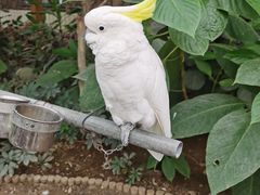 -南宫五洲植物乐园