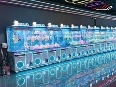 -深圳龙华星河COCO City(民治店)