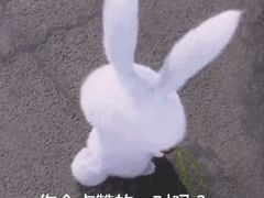 -UME影城(西城广场店)