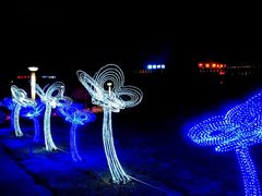 -长春公园(普阳街道)