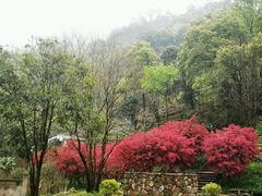 -雁荡山风景名胜区