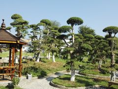 -武汉紫薇都市田园