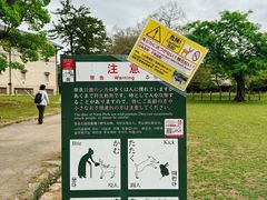 -奈良公园