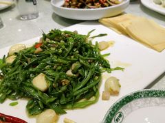 -永安之星休闲美食广场