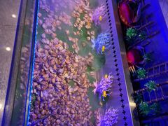 -阪尚皇·原切牛排·烤肉火锅自助(北京路店)