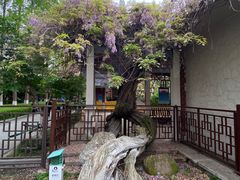 -郑和公园