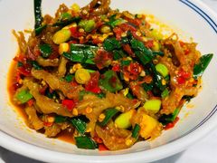 鸭掌筋-壹盏灯(蚂蚁工房店)