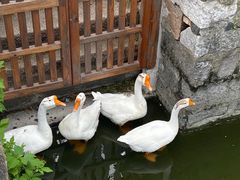 -苏州碑刻博物馆