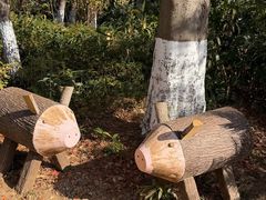 -茅山东方盐湖城景区