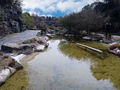 -上海吴淞炮台湾国家湿地公园