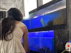 -阿尔法海鲜排档(爱琴海店)