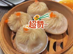 -岭南小生·粤港点心(南门口店)