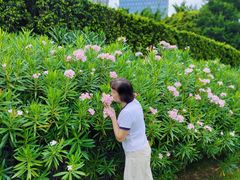 -南宁南湖公园