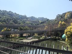 -福道
