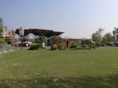 景点-上海长兴岛郊野公园