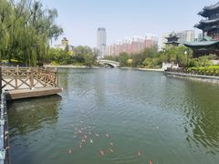 -迎泽公园