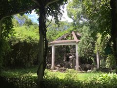 -叶家花园