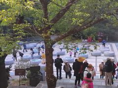 -苍山感通索道