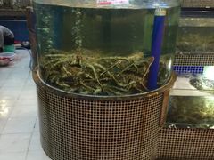 -欢乐海岸美食联盟