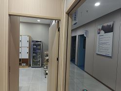 -碧莲盛不剃发植发
