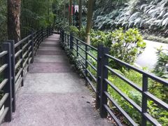 -广州市帽峰山景区