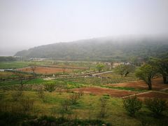 -青龙山公园