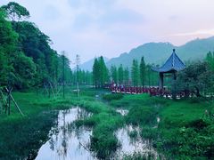 -广州市石门国家森林公园