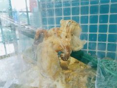 -蟹谢蒸鲜自助餐厅