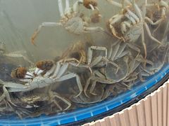 -仙螺岛海鲜自助餐厅(总店)