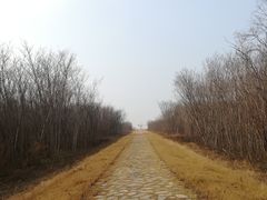 -秦始皇帝陵博物院-丽山园