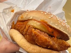 大盘鸡风味麦辣鸡腿汉堡-麦当劳(宾水西道店)