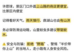-鼎香皇高佬苏裹蒸粽