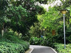 -玉树公园