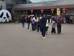 -都江堰中华大熊猫苑