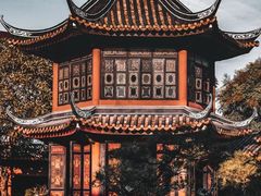 -碧江金楼