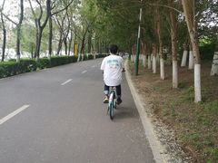 -长白岛森林公园