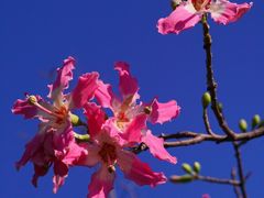 -二沙岛艺术公园