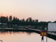 -特种渔场