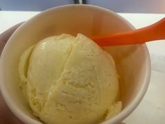 -iceason爱茜茜里·意大利健康冰淇淋(骑龙巷店)