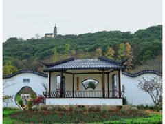 -苏州上方山国家森林公园