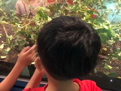 -上海昆虫博物馆