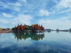 -贡湖湾湿地公园