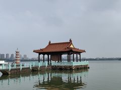 -无锡蠡湖国家湿地公园-蠡园