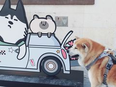 -斯普瑞斯奥特莱斯