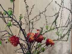 -龙华素斋(龙华路店)