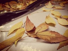 -天幕新彩云国际影城(激光巨幕店)